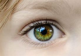 Image result for pictures of eyes