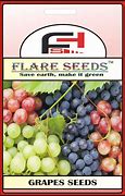 Image result for Grapes Seeds 4K