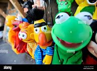 Image result for Kermit Puppet Stock-Photo