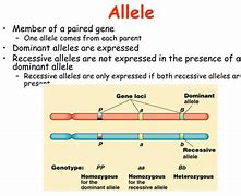 Image result for alell