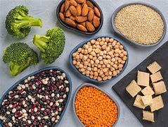 Image result for Protein Foods for Vegetarians