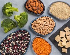 Image result for Vegetarian Protein Foods