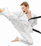 Image result for Karate Kid Free PNG Logo