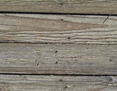 Image result for Photoshop Wooden Dock Texture Brush