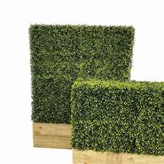 Image result for Artificial Box Hedge Plants