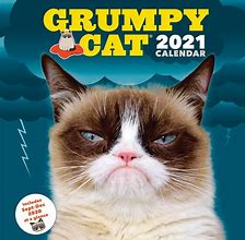 Image result for Cat Meme Calendar