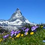 Image result for Swiss Alps Towns