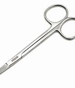 Image result for Scissors Disecctiing
