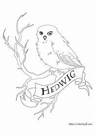 Image result for Harry Potter Hedwig Coloring Pages
