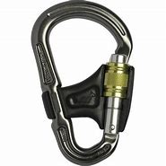 Image result for Rappelling Carabiners
