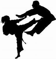 Image result for Martial Arts Fighting Silhouette