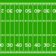 Image result for CFL Field