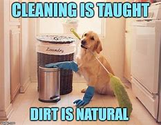 Image result for Clean Funny Dog Poster