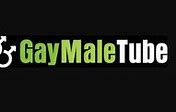 Image result for gaymaletube.club