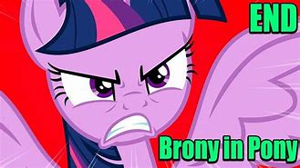 Image result for MLP Brony