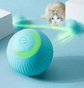 Image result for Cat Toys for Indoor Cats Adult
