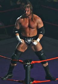 Image result for Triple H John Cena