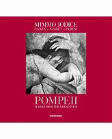 Image result for Pompeii Casts