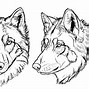 Image result for Wolf Head Drawing in Pencil