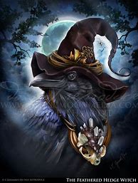 Image result for Gothic Witch Raven