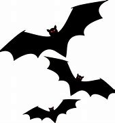 Image result for Bat Stickers On a Wall