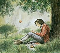 Image result for Newton and the Apple Tree