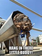 Image result for The Hanging in There Star Meme