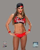 Image result for Nikki Bella WWE Poster