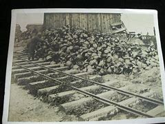 Image result for WW1 Battlefield Relics
