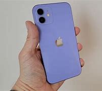 Image result for iPhone 12 Purple Pic