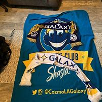 Image result for LA Galaxy Fans Funny