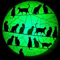 Image result for Cat Bat Signal