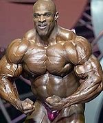 Image result for Triple H Biceps