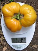 Image result for Amana Fruuit