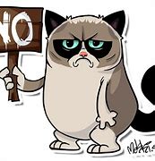 Image result for Tard Grumpy Cat Meme