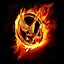 Image result for Hunger Games Wallpaper Phone