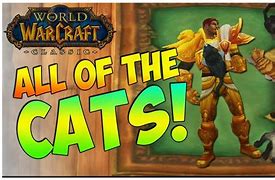 Image result for WoW Cat Pets