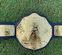 Image result for Dress as a Wrestling Belt