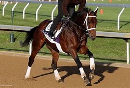 Image result for Breeders' Cup Dirt Mile