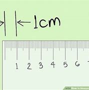 Image result for Measuring Length in Centimeters