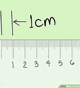 Image result for Objects That Are a Centimeter