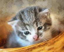 Image result for Cutest Baby Animals