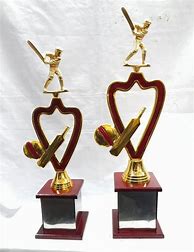 Image result for Acrylic Cricket Trophy
