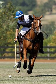 Image result for Polo Equestrian