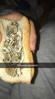Image result for 3.5 Grams of Shrooms