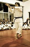 Image result for Shotokan Karate Martial Arts