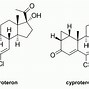 Image result for cyproteron
