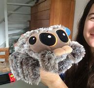 Image result for Lucas the Spider Plush