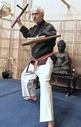 Image result for Martial Arts Tonfa Weapons