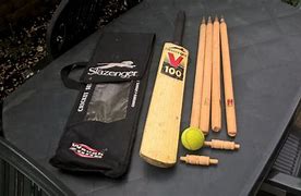 Image result for Cricket Bat and Stumps